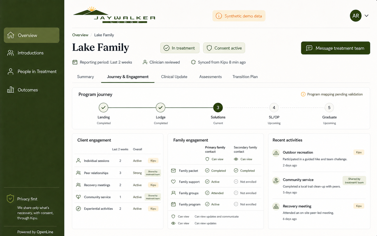 Synthetic exploratory concept showing program journey, client engagement, family engagement, and structured activities